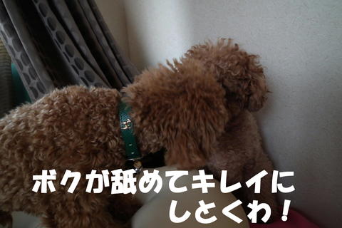 朝の洗顔^^;