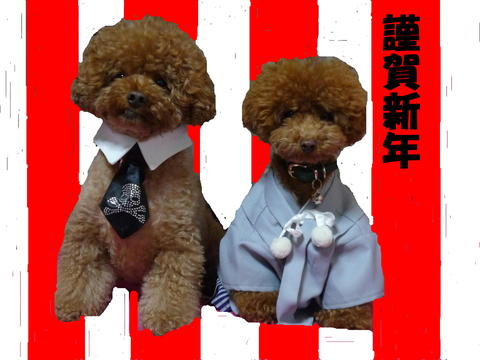 ☆2011年初投稿☆