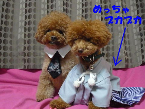 ☆2011年初投稿☆