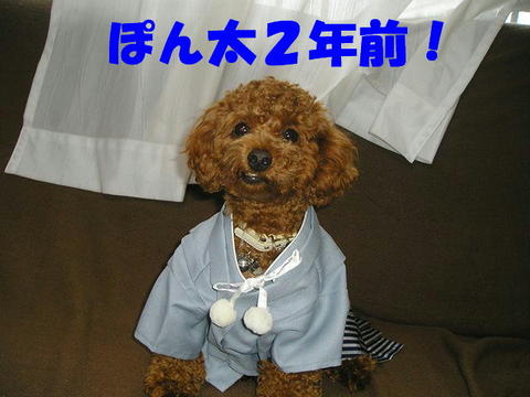 ☆2011年初投稿☆
