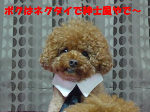 ☆2011年初投稿☆