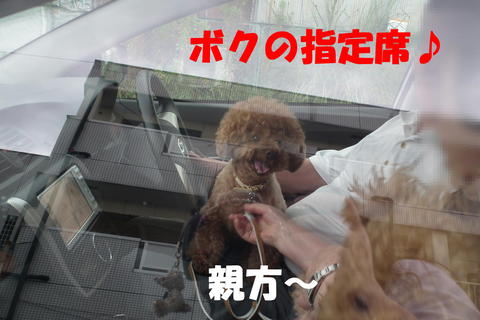 バウリンガルボイスでかん太の声を聞いた^^