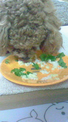 ♪晩ごはん♪