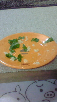 ♪晩ごはん♪