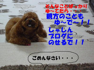 ボテッ ボテッ