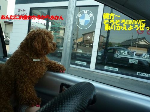 ☆車の乗り方☆