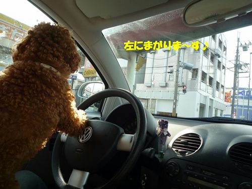 ☆車の乗り方☆