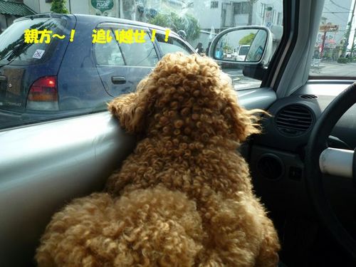 ☆車の乗り方☆