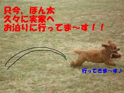 バラ水