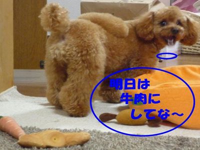 ♪晩ごはん♪