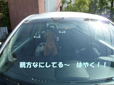 なんでそこまでする?