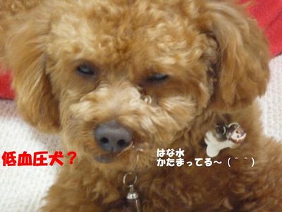 寝起き顔