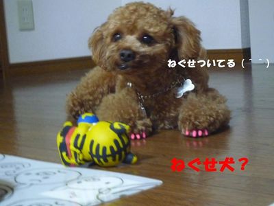 寝起き顔