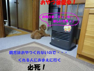 実家にて・・・