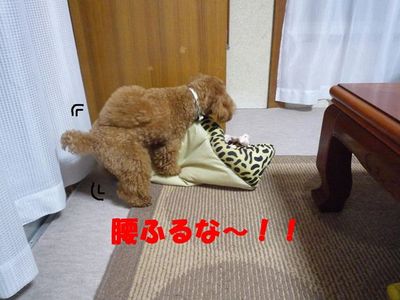 実家にて・・・