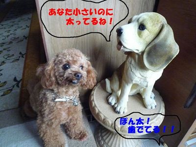 実家にて・・・