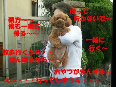 実家にて・・・