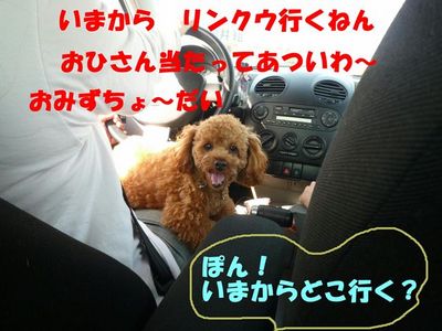 リンクウ