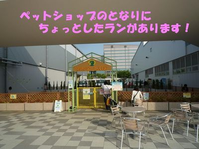 リンクウ