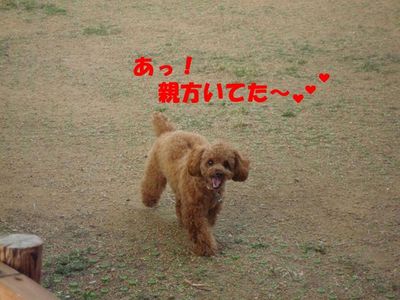 リンクウ