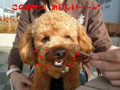 リンクウ