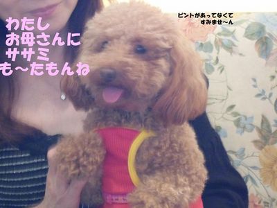 ドッグカフェ また行ったよ!