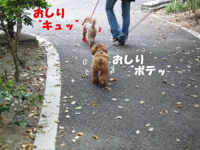 ボテッ ボテッ