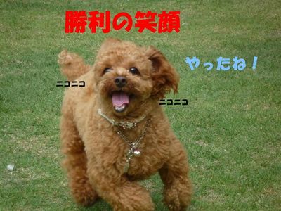 ぽん太VSルル②