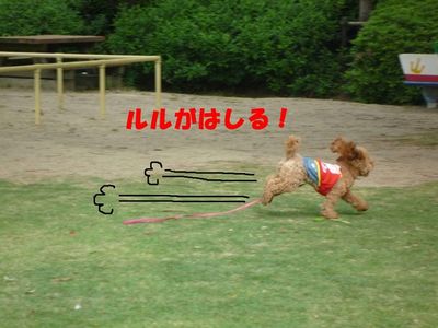 走る!走る!