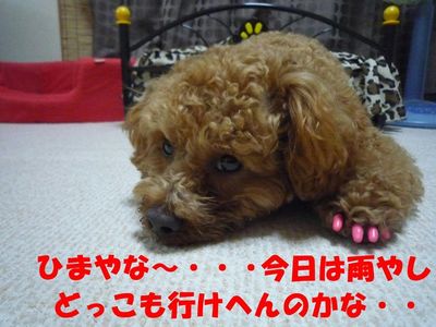雨の日の休日