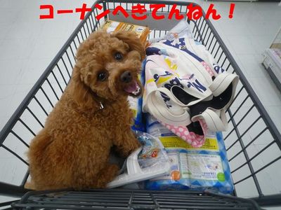 雨の日の休日