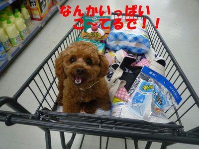 雨の日の休日