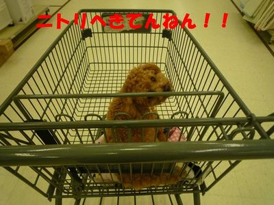 雨の日の休日