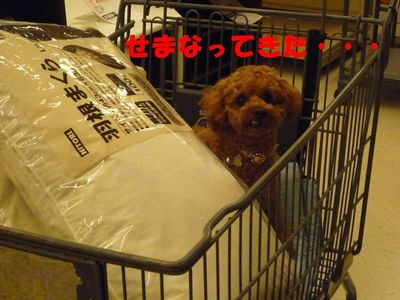 雨の日の休日
