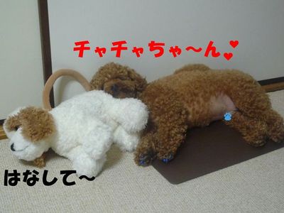 チャチャ!仲良くしょ~な♪