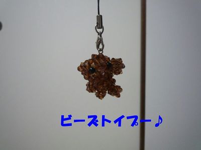 きんかんが大好きなぽん太!