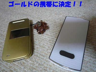 きんかんが大好きなぽん太!