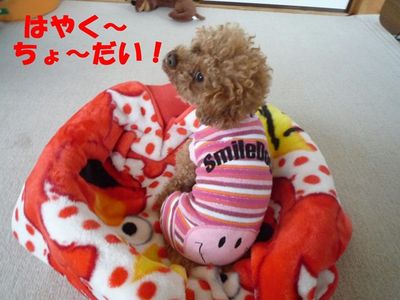 この寝方しんどくないん!?