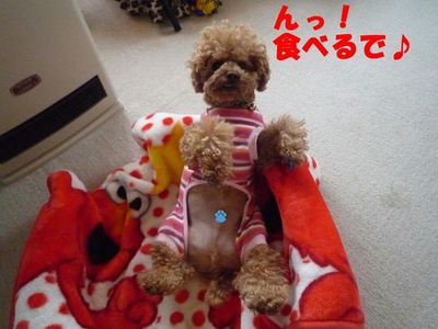この寝方しんどくないん!?