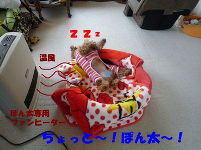 この寝方しんどくないん!?