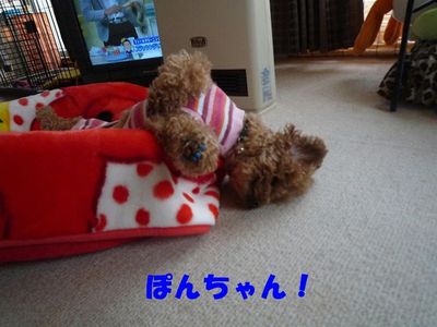 この寝方しんどくないん!?