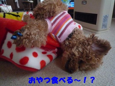 この寝方しんどくないん!?