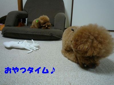 2ワンお留守番の後はおやつ!