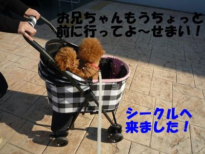 親子ですか~?!兄弟のつもりです!