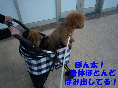 親子ですか~?!兄弟のつもりです!