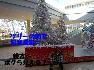 親子ですか~?!兄弟のつもりです!