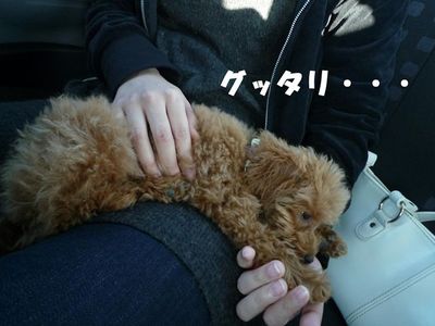 そんなに見つめんといて!!!