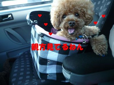 そんなに見つめんといて!!!