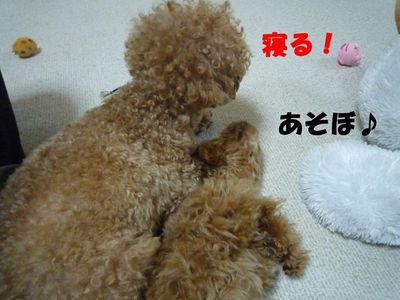 お兄ちゃ~ん遊ぼ!