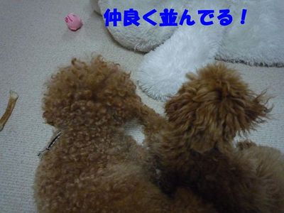 お兄ちゃ~ん遊ぼ!